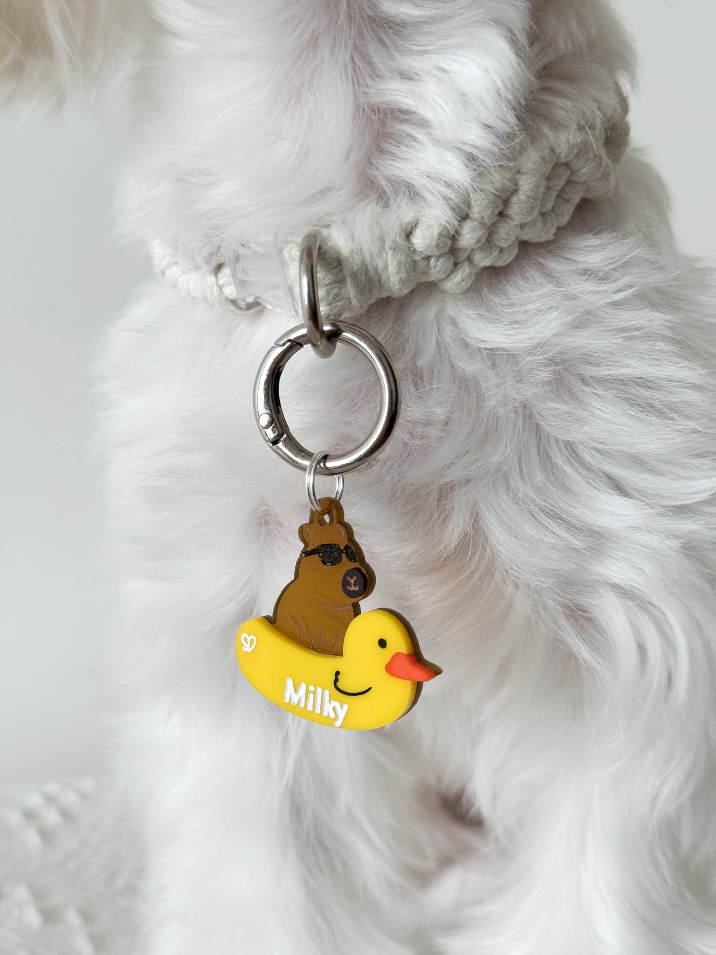 Capybara Pet Tag