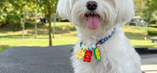 Anak Malaysia Passpawt Charm