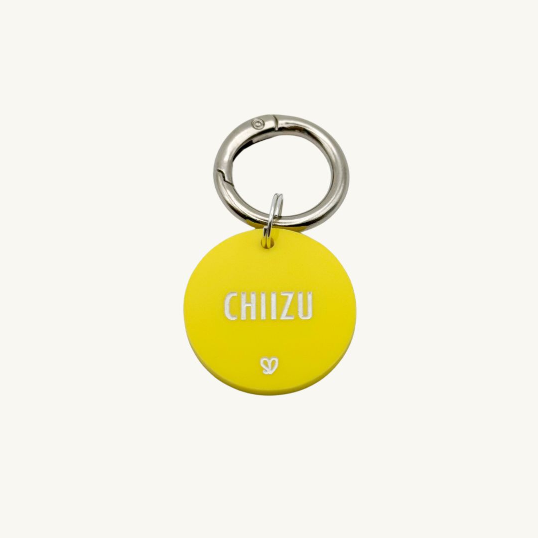 Basic Round Yellow Pet Tag