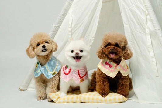 Fruitylicious Bandana