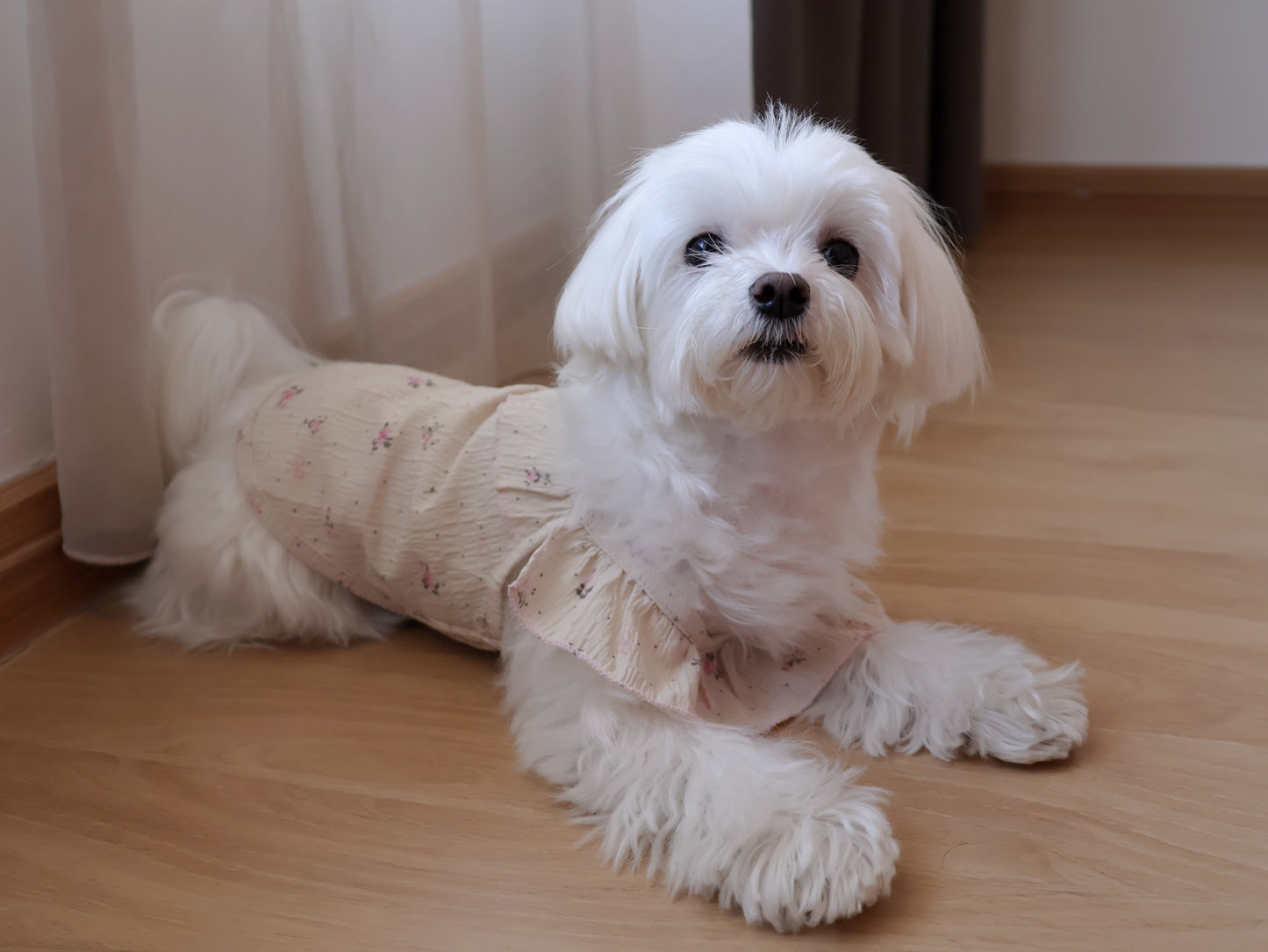 Soft Blossom Ruffle Tank Top