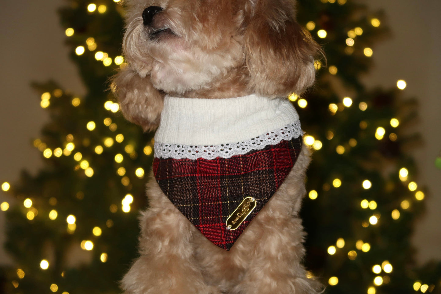 Frosted Lace Bandana