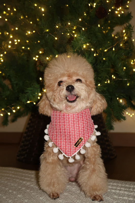 Snowy Pom Pom Bandana