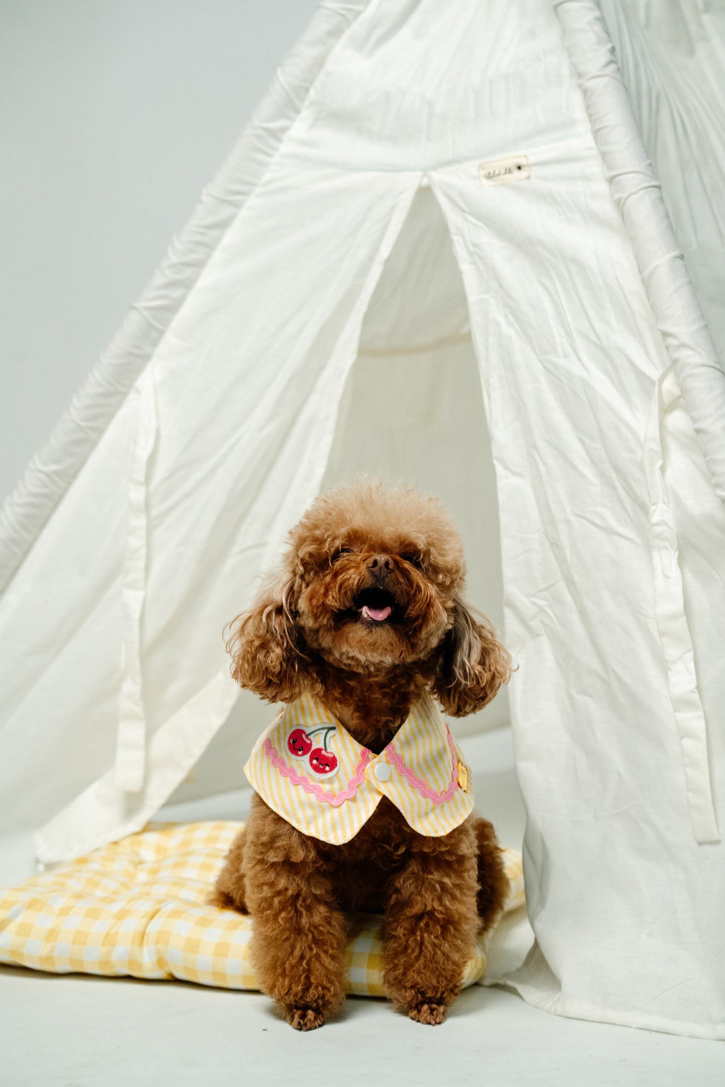 Fruitylicious Bandana