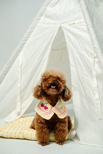 Fruitylicious Bandana