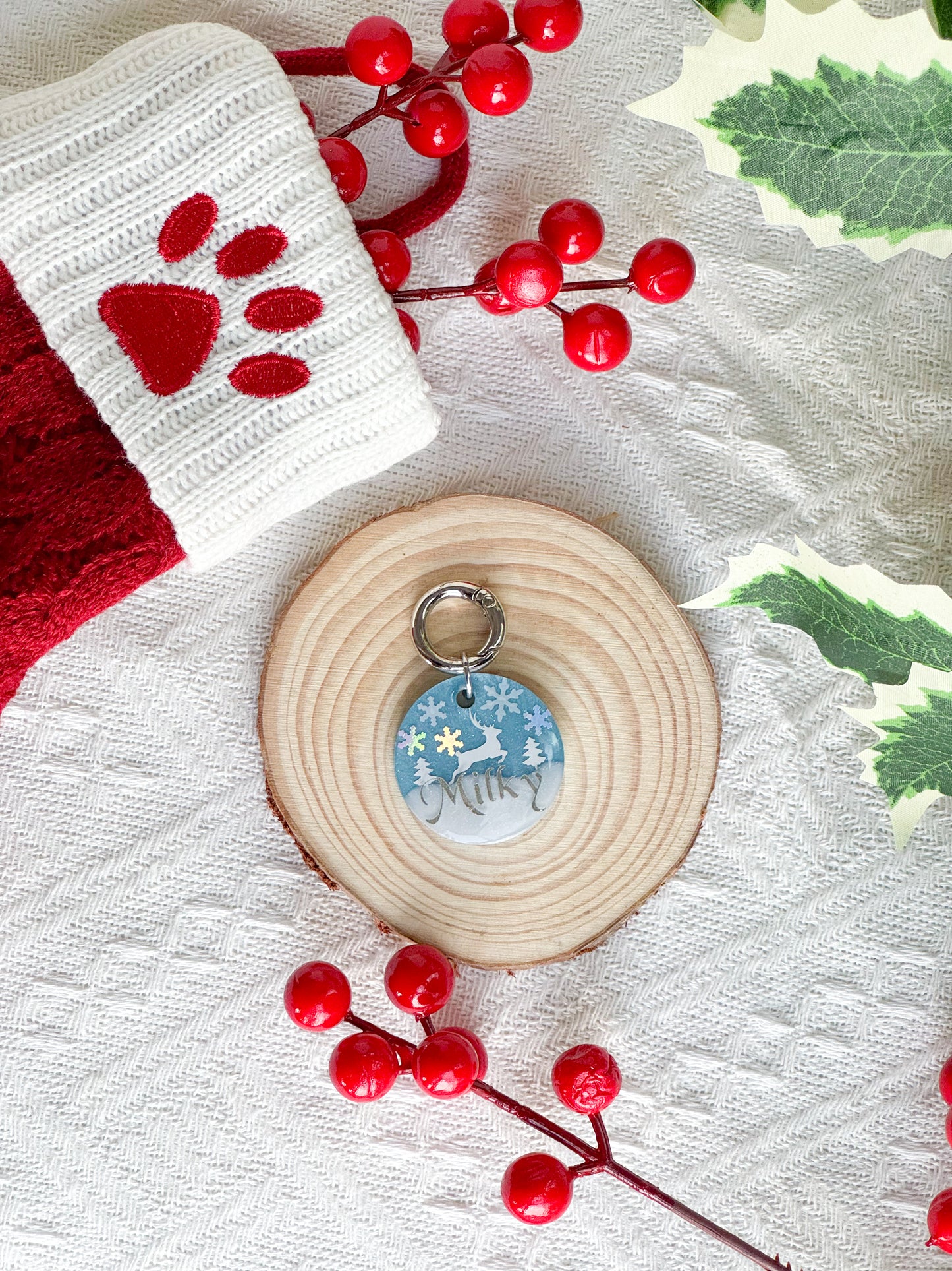 [Clearance Sale — 20% OFF] Winter Wonderland Resin Pet Tag