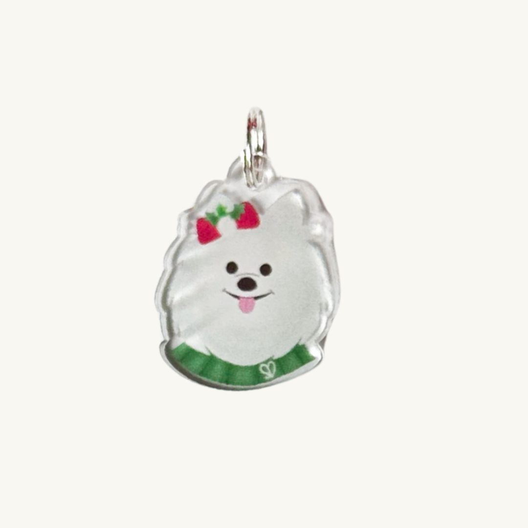 Festive Pom Charm