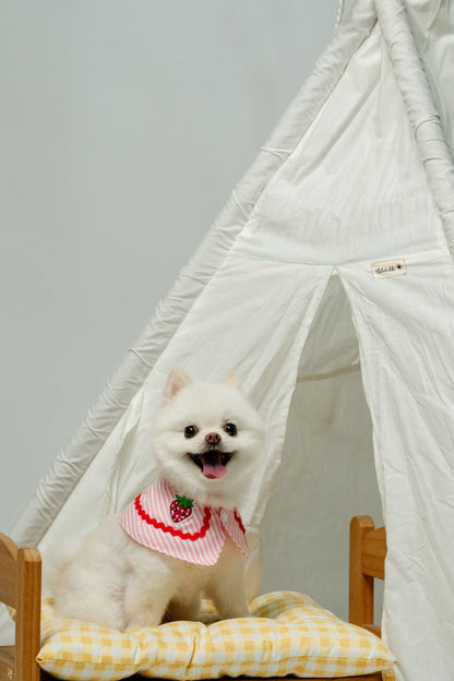 Fruitylicious Bandana