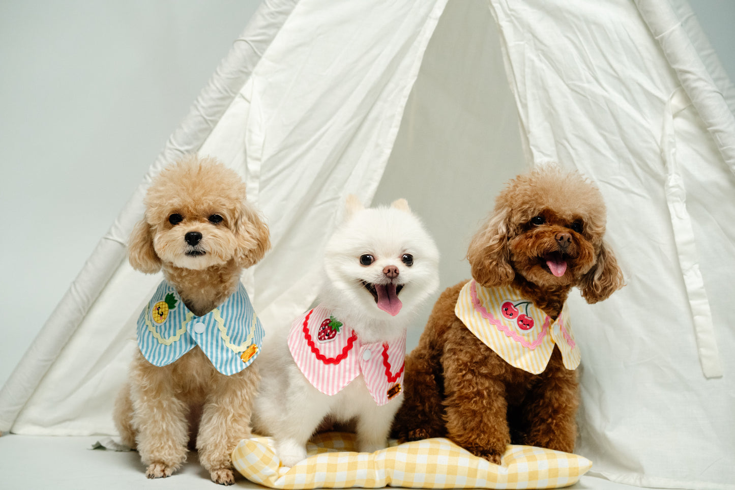 Fruitylicious Bandana