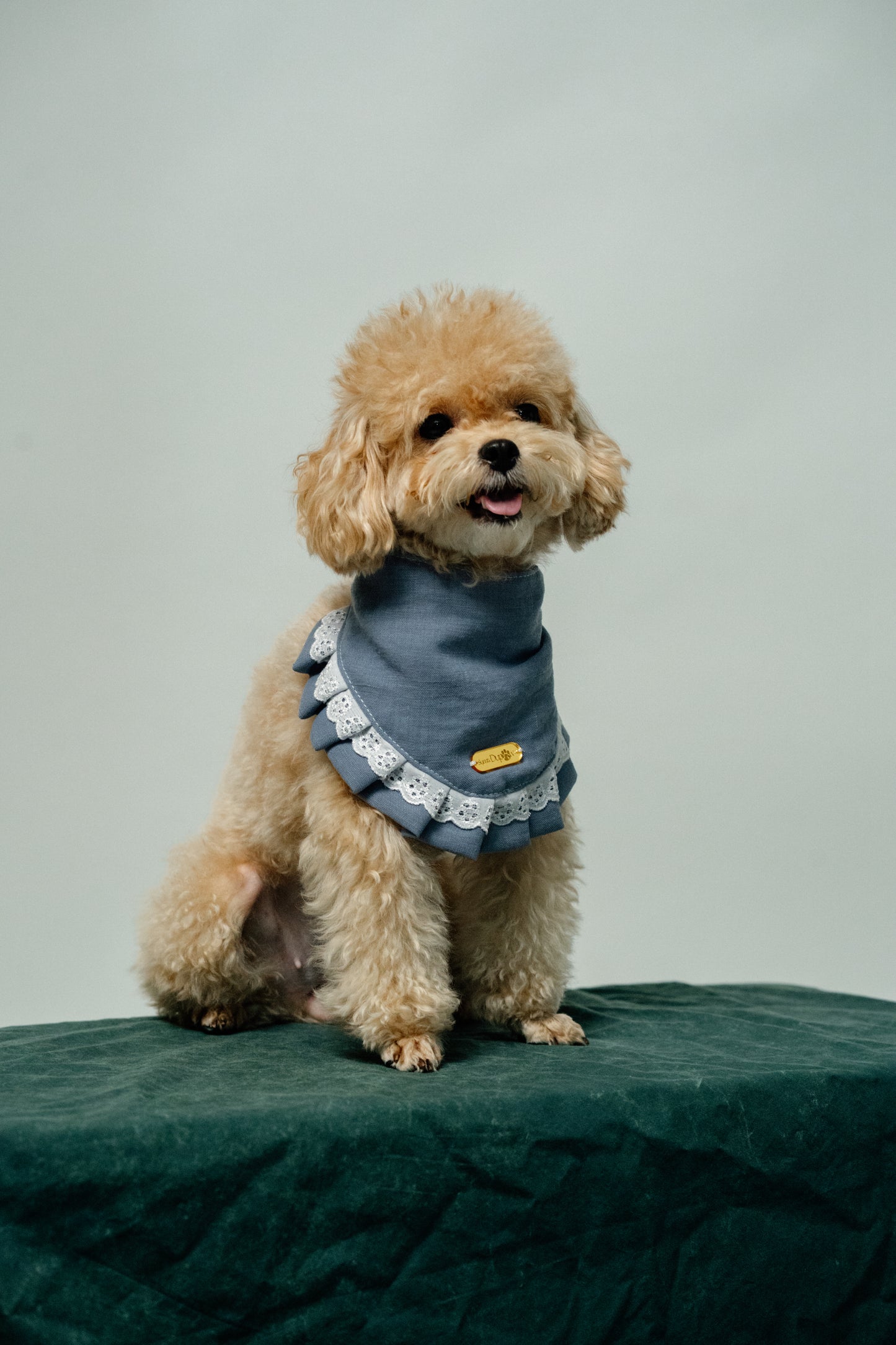 Lacey Ruffle Bandana