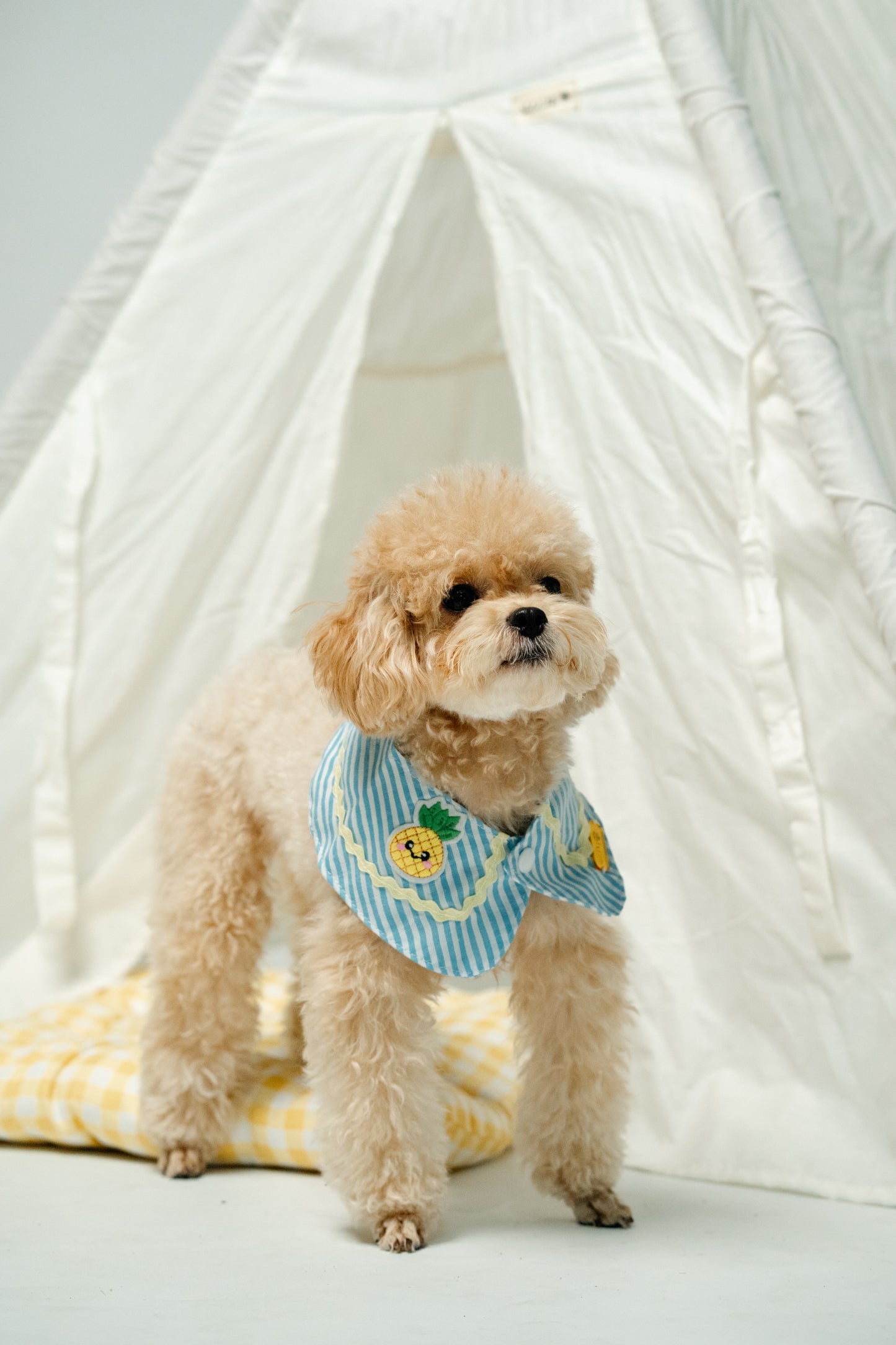 Fruitylicious Bandana