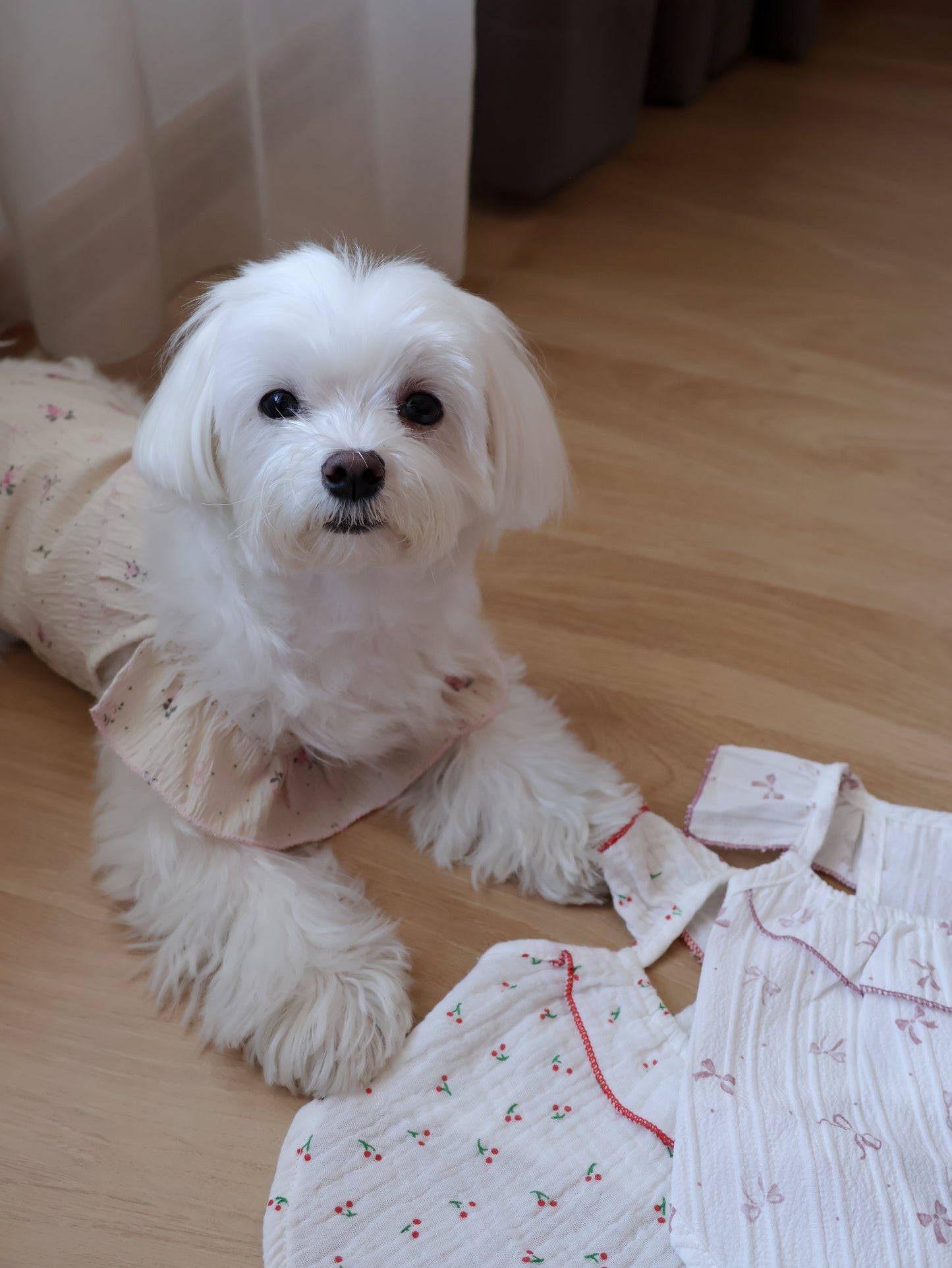 Soft Blossom Ruffle Tank Top