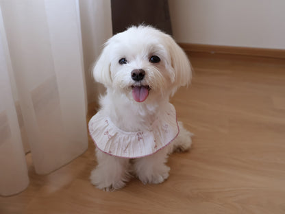 Sweet Coquette Ruffle Tank Top