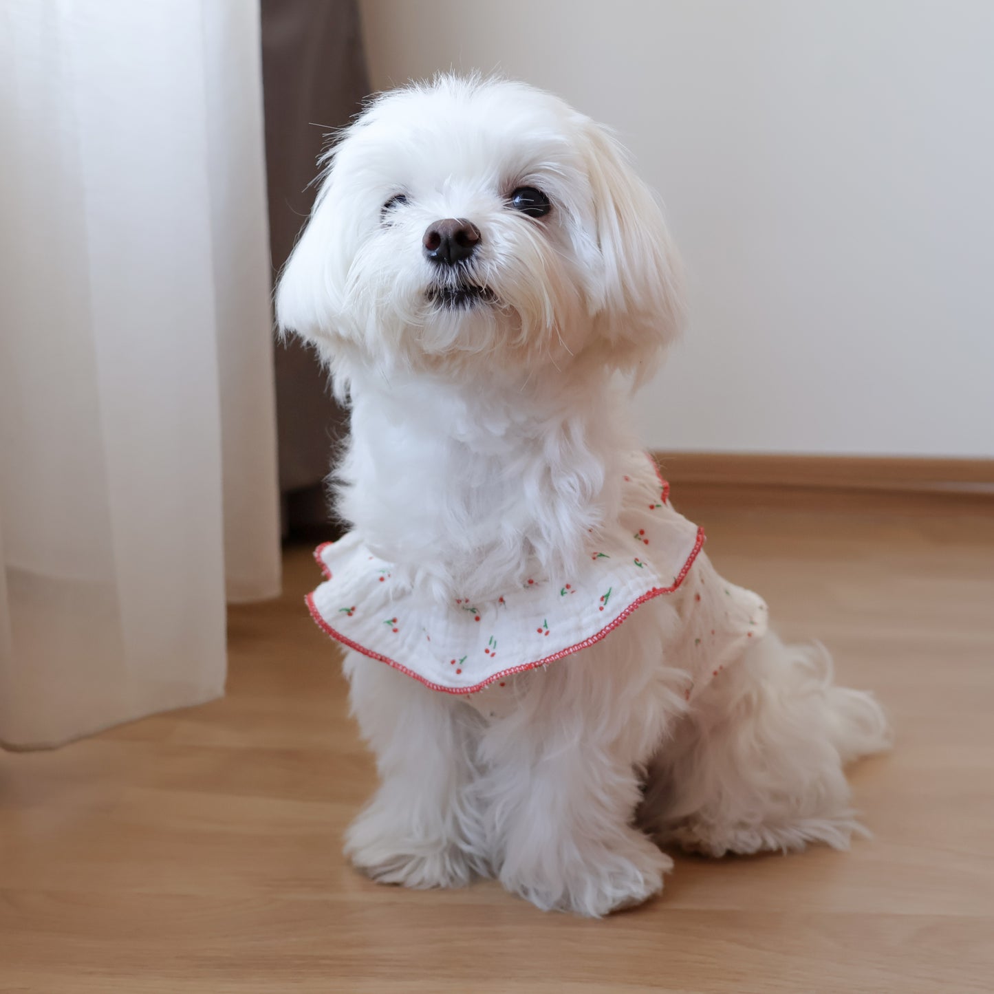 Cherry Kiss Ruffle Tank Top