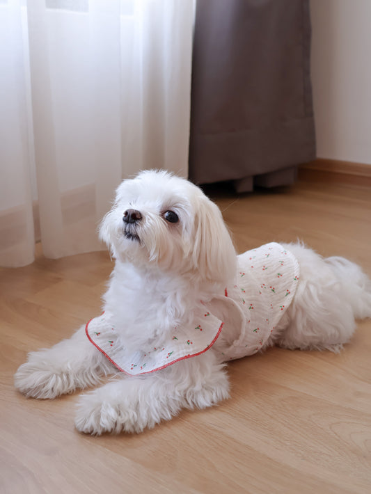 Cherry Kiss Ruffle Tank Top