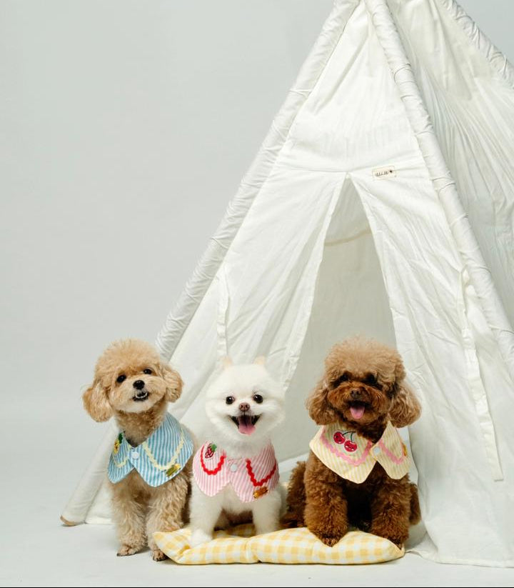 Fruitylicious Bandana