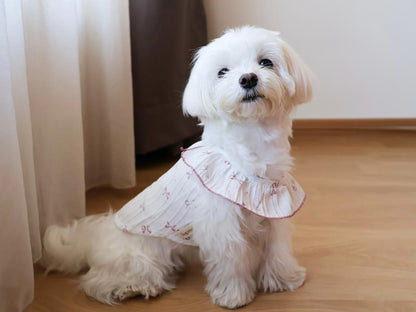 Sweet Coquette Ruffle Tank Top